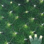 Warm White LED Net Lights 2x10 Green Wire