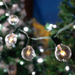 100 G40 Globe String Light Set with Clear Bulbs on Green Wire