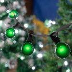 100 G40 Globe String Light Set with Green Bulbs on Black Wire