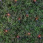 Red LED Net Lights 4x6 Green Wire