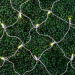 Warm White LED Net Lights 4x6 White Wire