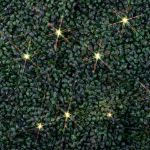 Warm White LED Net Lights 4x6 Black Wire