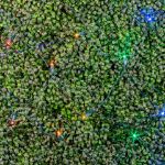Multi LED Net Lights 4x6 Green Wire