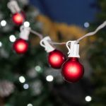 25 G40 Globe String Light Set with Red Satin Bulbs on White Wire