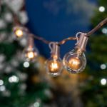 25 G40 Globe String Light Set with Clear Bulbs on Brown Wire