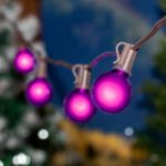 100 G40 Globe String Light Set with Purple Bulbs on Brown Wire
