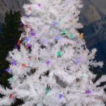 Rainbow 70 LED C6 Strawberry Mini Lights Commercial Grade on White Wire