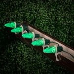 25 Light String Set with Green LED C9 Bulbs on Green Wire