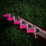 PeakPro Pink C9 LED Replacement Bulbs 25 Pack 