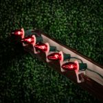 100 C9 Christmas Light Set - Red Bulbs - Green Wire