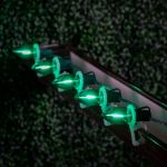 Green C9 LED Plastic Filament Replacement Bulbs 25 Pack 