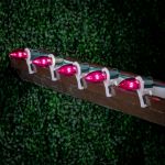 Pink Smooth Glass C9 LED Bulbs - 25pk