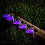 PeakPro Purple C9 LED Replacement Bulbs 25 Pack 