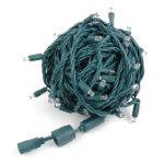 50 RGB + Warm White LED 4" Spacing Green Wire Coaxial w/o Power Supply & Remote