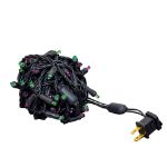 *NEW* TrueTwinkle® LED Mini Lights 50 LED Purple & Lime 25' Long Black Wire