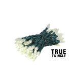 Coaxial *NEW* TrueTwinkle® Warm White 70 LED C6 Strawberry Mini Lights Commercial Grade on Green Wire