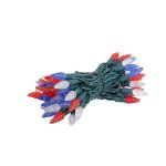 Coaxial Red/White/Blue 70 LED C6 Strawberry Mini Lights Commercial Grade on Green Wire