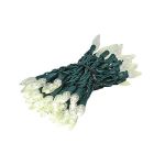 Coaxial Warm White 100 LED C6 Strawberry Mini Lights Commercial Grade on Green Wire