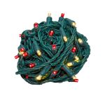 Commercial Grade Wide Angle 50 LED Red/Warm White 25' Long on Green Wire