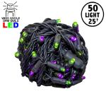 Commercial Grade Wide Angle 50 LED Purple/Lime 25' Long on Black Wire