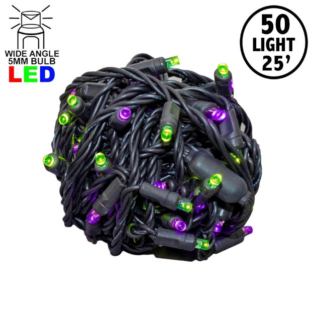 Commercial Grade Wide Angle 50 LED Purple/Lime 25' Long on Black Wire