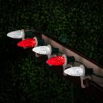 PeakPro Red/Pure White C9 LED Replacement Bulbs 25 Pack