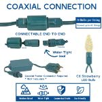 Coaxial Warm White 70 LED C6 Strawberry Mini Lights Commercial Grade on Green Wire