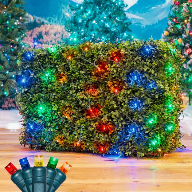 Multi LED Net Lights 4x6 Green Wire