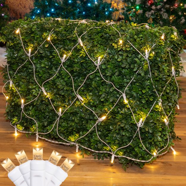 Warm White LED Net Lights 4x6 White Wire
