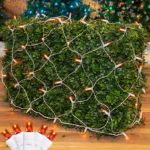 Amber/Orange LED Net Lights, White Wire 4x6