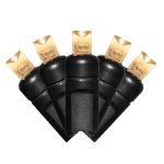 Warm White LED Net Lights 4x6 Black Wire