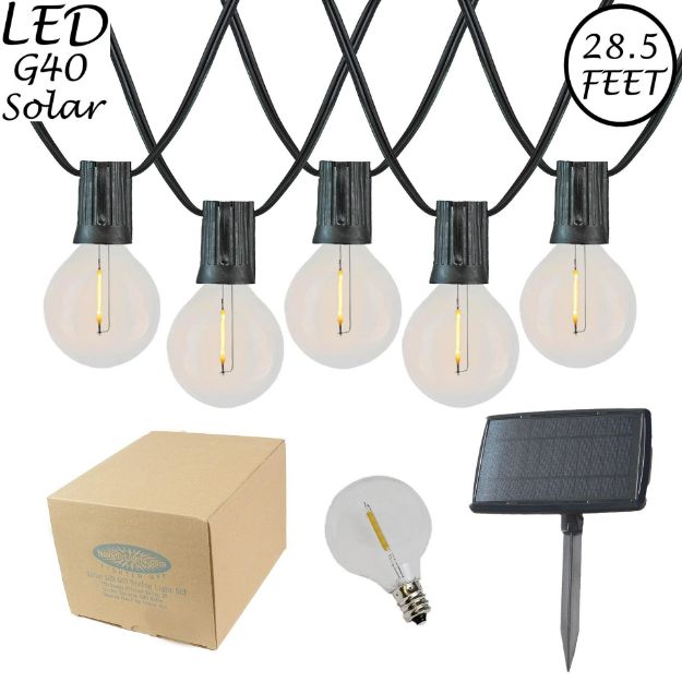 25 Solar LED Filament G40 Globe String Light Set with Warm White Bulbs on Black Wire