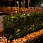 25 Solar LED Filament G40 Globe String Light Set with Warm White Bulbs on Black Wire