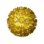 50 Yellow LED 6" Sphere