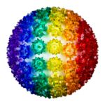 150 Rainbow LED 10" Sphere