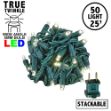 *NEW* TrueTwinkle® LED Christmas Lights 50 LED Warm White 25' Long Green Wire