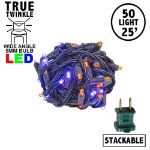 *NEW* TrueTwinkle® LED Mini Lights 50 LED Purple & Orange 25' Long Black Wire