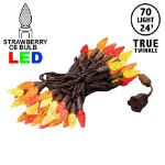 *NEW* TrueTwinkle® Yellow/Red/Orange 70 LED C6 Strawberry Mini Lights Commercial Grade on Brown Wire