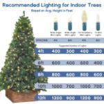 Commercial Grade Wide Angle 50 LED Old Color Warm White (19WW) 17' Long on Green Wire