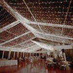 *NEW* TrueTwinkle® LED Christmas Lights 50 LED Pure White 25' Long White Wire