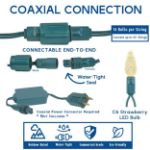 Coaxial *NEW* TrueTwinkle® Pure White 70 LED C6 Strawberry Mini Lights Commercial Grade on White Wire