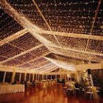 *NEW* TrueTwinkle® LED Christmas Lights 50 LED Warm White 25' Long White Wire