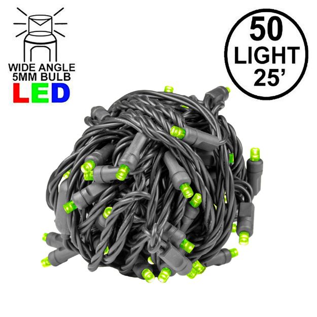 Commercial Grade Wide Angle 50 LED Lime Green 25' Long on Black Wire