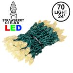 Warm White 70 LED C6 Strawberry Mini Lights Commercial Grade on Green Wire