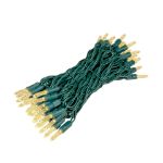 M5 50 LED Warm White 6" Spacing Green Wire