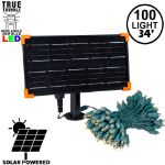 *NEW* TrueTwinkle® Warm White LED Solar Mini Lights 100 Light String 4" Spacing Green Wire