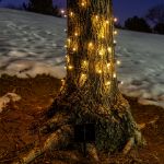 Warm White LED Solar Powered Lights 50 Light String 3" Spacing Green Wire