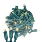 Commercial Grade Wide Angle 50 LED Warm White 25' Long on Green Wire