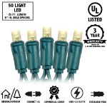 Commercial Grade Wide Angle 50 LED Multi 25' Long on Green Wire