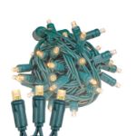 Commercial Grade Wide Angle 50 LED Sun Warm White 25' Long on Green Wire